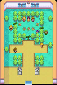 We did not find results for: Celadon City Gym Pokemon Firered