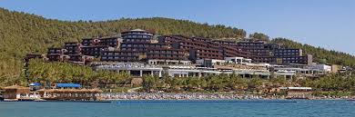 Turistik tesis olarak tahsis edilmesinin ardından koyda yangın çıktı. Bodrum Guvercinlik Te Yesillendirilecegi Soylenen Araziye Bina Yapildigi Iddiasi Dogruluk Payi