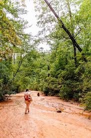 Near the city of providence. Road Trip From Atlanta Providence Canyon Paper And Stitch