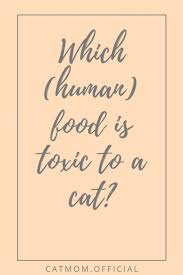 Steer clear of these foods when sharing your snacks. Which Human Food Is Toxic To A Cat Catmom