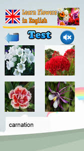 Plants and flowers for your garden, listed by their common names. Learn Flower Names In English For Android Apk Download