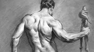 The concept of proportions can be an aesthetic judgement as in the case of drawing cartoons vs. Figure Drawing Fundamentals On Steam