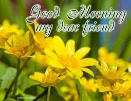 Share good morning images with flowers beautiful good morning images, telugu quotes good morning messages for friends, free download the telugu good morning pictures images hd wall papers for face book. Good Morning My Dear Friend Yellow Flowers The Best Greeting Card For You