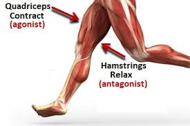 Foot Cramps Causes Symptoms Treatment Prevention
