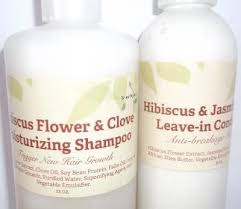 Hibiscus Hair Care Bundle Shampoo Conditioner Brina Organics Hair Milk Herbal Shampoos Shampoo