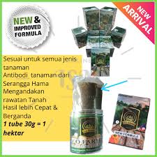 Berikut beberapa tips cara menanam sayuran organik bagi pemula untuk di pekarangan rumah. New Formula Eco Farming Baja Foliar Organik Baja Em Mikrob Aktif Sesuai Buah Buahan Sayuran Tebu