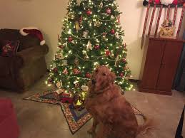 Riley Green surprised his parents with a new camper this Christmas ...