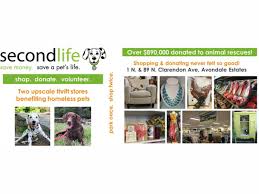 Find your next pet at a lifeline shelter. Aug 8 99 Cent Tuesdays At Atl S Fave Thrift Store That Benefits Homeless Pets Second Life Atlanta Decatur Ga Patch