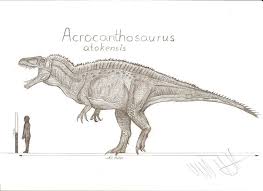 Carcharodontosaurus giganotosaurus acrocanthosaurus mapusaurus tyrannosaurus, skeleton acrocanthosaurus triceratops troodon sauropelta giganotosaurus, carnage, fictional characters. Teratophoneus S Deviantart Gallery Prehistoric Dinosaurs Prehistoric Animals Paleo Art