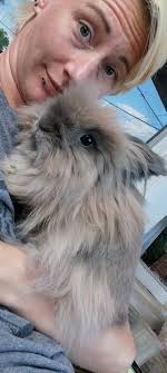 Is it okay to have a single rabbit as a pet?