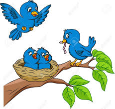 image result for cartoon bird on nest cartoon birds drawing for kids cartoon clip art