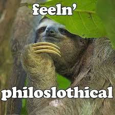 Sloth Lovers Community 🇺🇸 on Instagram: "Sloth memes 😁 📸 Via 📷:  Unknown Tag someone who needs to see this 😍 📩 DM me in regards to any -  Questions/Concerns/Credit/Removal #slothlover #slothfanworld #