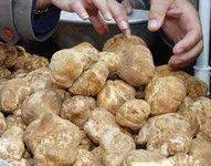 Les Truffes De Ghardaia Le Terfess Truffle Mushroom Food Stuffed Mushrooms