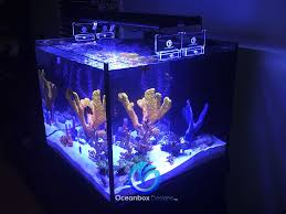 Lightmaxx Stands For Current Orbit Marine Led Risers Oceanbox Designs Llc