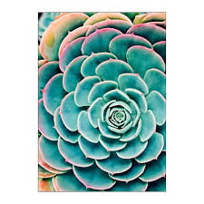 Fresh Home Furnishing Ideas And Affordable Furniture Picture Frame Wall Photo Frame Wall Wall Frames