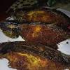 Ikan patin masak tempoyak temerloh Https Encrypted Tbn0 Gstatic Com Images Q Tbn And9gcsjqqdf63f Nxubpl4xc3cp 33b6viiwpk74vjt2cm Usqp Cau