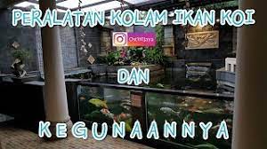Kolam ikan minimalis batu paras jogja. Peralatan Kolam Koi Dan Kegunaannya Kolam Koi Dan Aksesoris Pelengkapnya Youtube