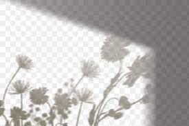 Png Flower Field Shadow Design Element Free Image By Rawpixel Com Jubjang In 2021