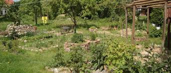 Wie also beginne ich, wenn ich einen garten neu anlege. Green Radio Permakultur Ein Garten Der Sich Selbst Pflegt Detektor Fm Das Podcast Radio