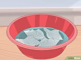 Again, be gentle and rub with the grain of the shell. How To Clean Conch Shells 10 Steps With Pictures Wikihow