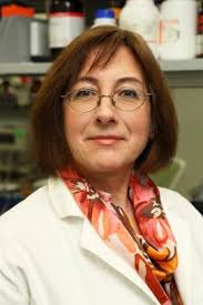 UIC: An incubator for successful start-ups