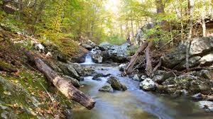 108 mountain hideaway trail blue ridge, ga 30513. Blue Ridge Mountains Us Vacation Rentals Cabin Rentals More Vrbo