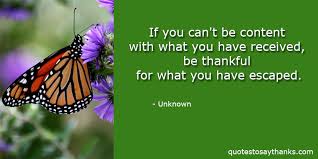 You should just go back to snoozing now. Funny Thank You Quote Escape Thank You Quotes