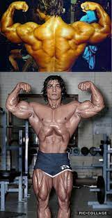 From beginning training in 1958 to being inducted into the ifbb hall of fame in early years. Danny Padilla Was Complete From Front To Back Bodybuilding
