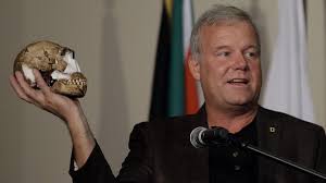 The latest species of extinct hominin to be discovered that promised to rewrite our history may have died out as modern humans came about. Menschenart Aus Sudafrika Homo Naledi Junger Als Gedacht Br Wissen