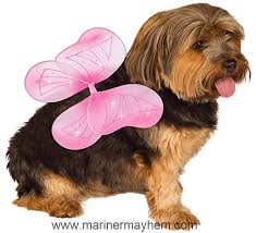 Rubie S Pet Costume Pink Fairy Wings Small To Medium