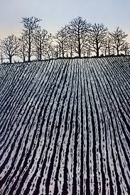 Ploughed Field Fields In Winter Frosty Field Plough Marks Etsy Winter Landscape Painting Linocut Art Landscape Paintings