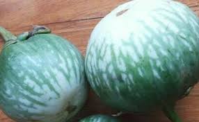 Dinas perikanan dan kelautan kabupaten buleleng. Cara Membuat Jus Terong Pirus Resep Bunda Rumahan Cute766
