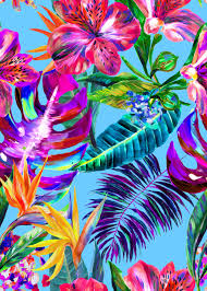 Desktop Birds Of Paradise Wallpaper Diseno Tropical Wallpaper Print Wallpaper Tropical Art