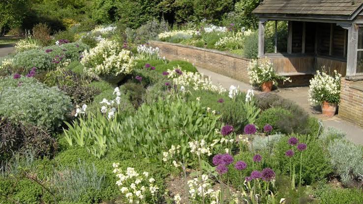 Scented Garden - Cambridge University Botanic Garden