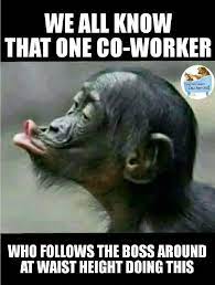 Pin By Patrick Gielen On Hilarious Memes Work Humor Work Quotes Funny Coworker Humor