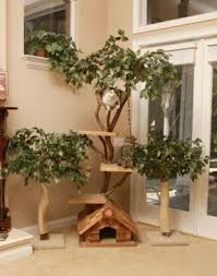 If you don't have here are the plans for the board in increase to the. Tree Cat Condo Ideas On Foter