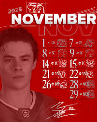 Dubuque Fighting Saints