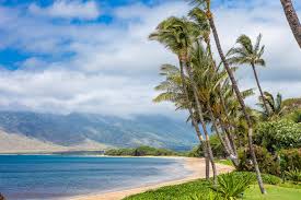 This is the ideal vacation rental for your time on maui. Sugar Beach Resort 321 Coldwell Banker Island Vacations
