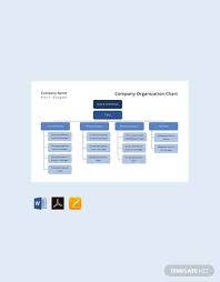 10 Hierarchy Organizational Chart Examples Google Docs