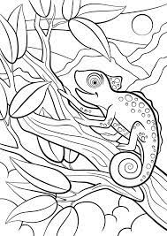 Chameleon coloring page is a wonderful set of pictures for creativity. Chameleon Coloring Pages Best Coloring Pages For Kids