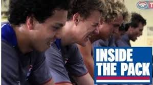 Dogs back in training after Colorado