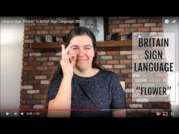A tall plant having a large, round, flat, yellow flower whose seeds can be eaten or used to make cooking oil. How To Sign Flower In British Sign Language Bsl Youtube