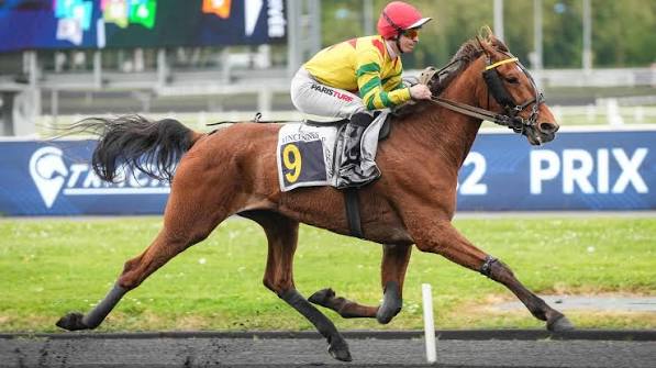 Impala de Val, revoilà le trotteur supersonique | LETROT