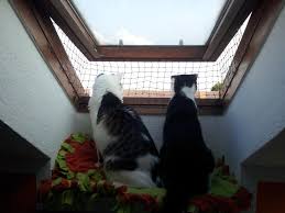Fenstersicherung Fur Dachfenster Katzen Forum Fenstersicherung Dachfenster Katzen Wohnungen