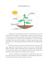 The machine can make 20 kinds of drinks using arabica coffee beans the machine will be leased to a business for a fee. How Photosynthesis Occurs Explanation Text Photosynthesis Plants