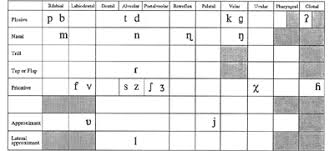 Dutch Linguistics Sound Phonetics
