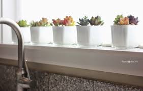 Buy from dollar general and get $2 off $8+ tresemme purchases. Dollar Store Faux Succulent Pots Repeat Crafter Me