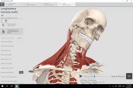 It's a great learning tool for teachers, students, and curious individuals. Windows Uk On Twitter Transform Your Anatomical Learning With The Complete Anatomy App On Windows10 By Exploring The Most Detailed 3d Anatomy Model Ever Created Find It Here Https T Co 6vpnnxl0wx Https T Co P4uyy8pnbp