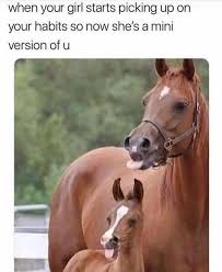 Tag A Friend Lol Friend Funny Fun View Follow Tongue Minime Horse Animal Copy Funny Horse Memes Funny Animal Memes Funny Horses