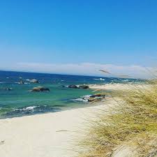 Viana do castelo is one of the most fascinating portuguese cities, in the northern region of portugal. Praia De Carreco Viana Do Castelo Portugal